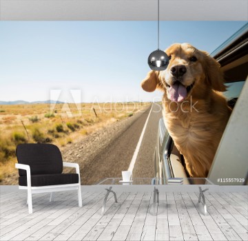 Bild på Golden Retriever Dog on a road trip